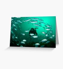 Diver and vortex of fish Greeting Card
