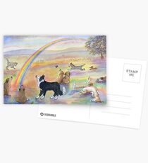 Dogs wait for their humans at Rainbow Bridge Postcards