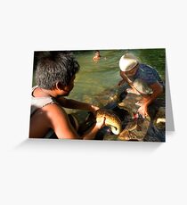 Sacred Eels of the Lasialap - Pohnpei, Micronesia Greeting Card