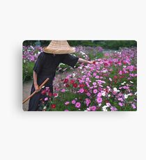 Cosmos Flowers Leinwanddruck