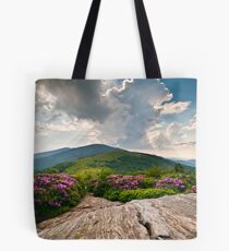 Roan Mountain Rays - Jane Bald Landscape Tote Bag