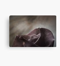 scent of a rose Canvas Print