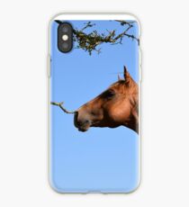 Storm and the tree iPhone Case