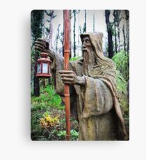 Bruno's Wizard Leinwanddruck