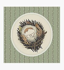 Sleeping Salix Photographic Print