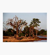Out of Africa - Samburu Photographic Print