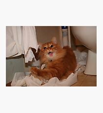 Oops..... Busted Photographic Print