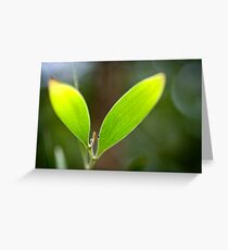 Eco Greeting Card