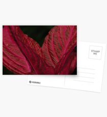 Red&Black abstract plant, Leamington Spa. Postcards