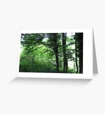 Green Wood Greeting Card