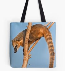 Ring-tailed Coati (Nasua nasua) Tote Bag