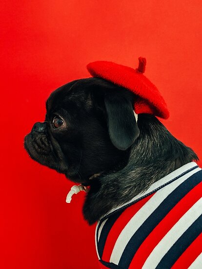 red pug