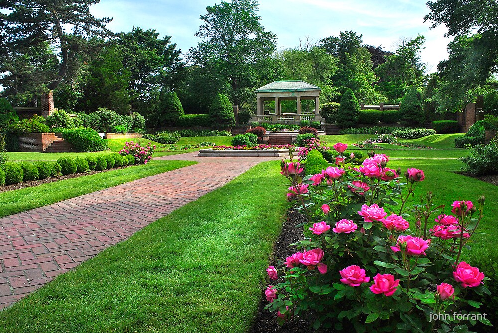 "Rose Garden: Lynch Park Beverly, Mass." by john forrant | Redbubble