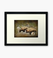 Protected Framed Print