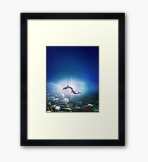 Nori Dolphins Framed Print
