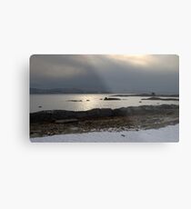 Cold Cormorant Metal Print