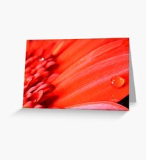 Me, on You! Greeting Card