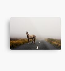 Sallygap horse Metal Print