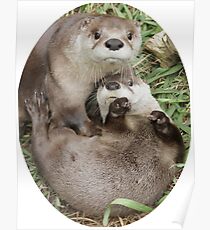 An otter moment Poster
