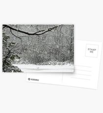 Snow Falling Postcards