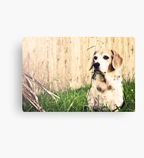 Chief Canvas Print