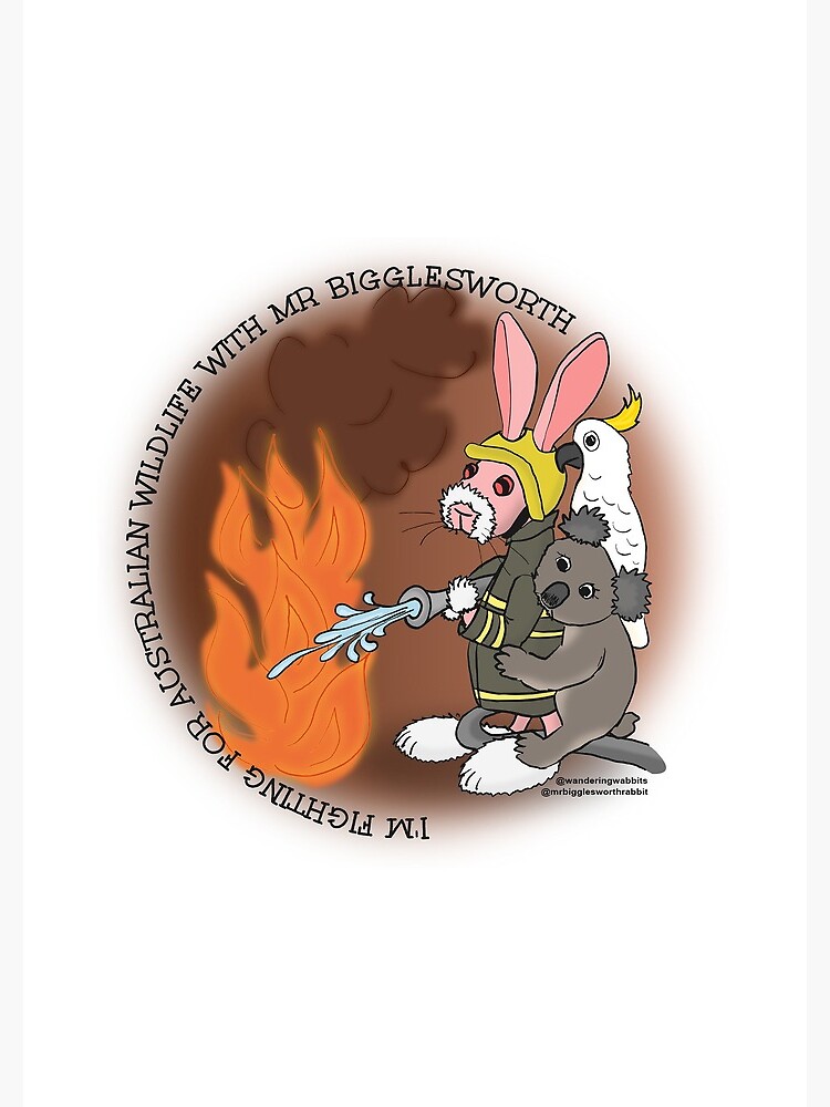 Mr Bigglesworth - Helping the Australian Wildlife in the Bushfires by mrbigglesworth