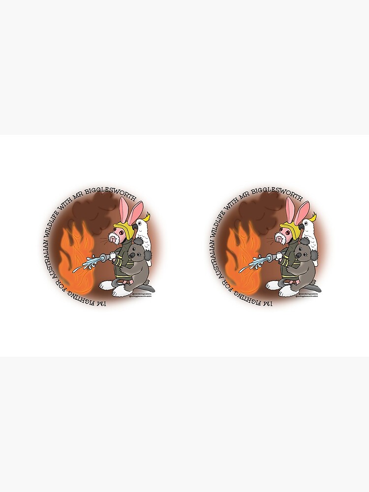 Mr Bigglesworth - Helping the Australian Wildlife in the Bushfires by mrbigglesworth