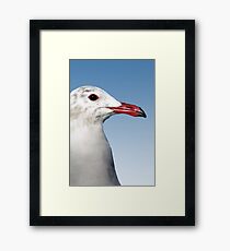 Presidential Framed Print