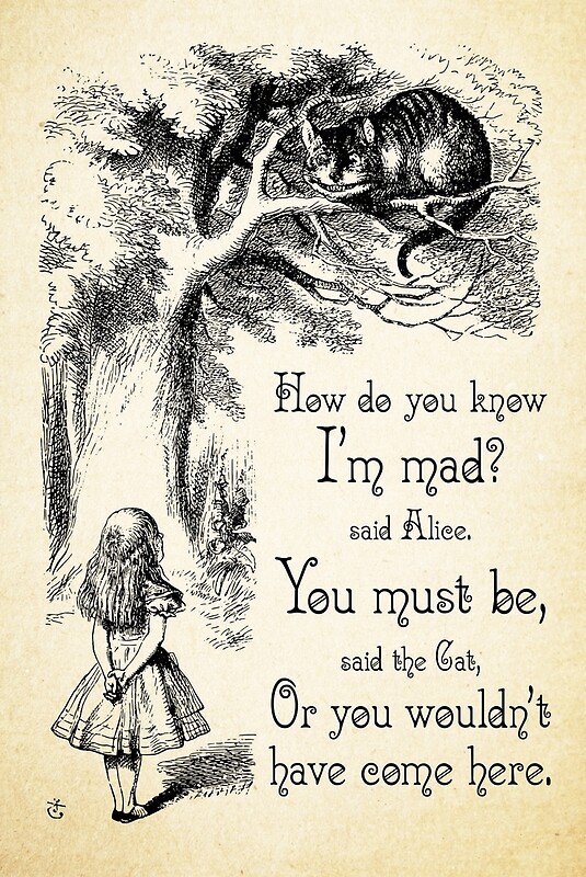 alice-in-wonderland-quote-how-do-you-know-i-m-mad-cheshire-cat