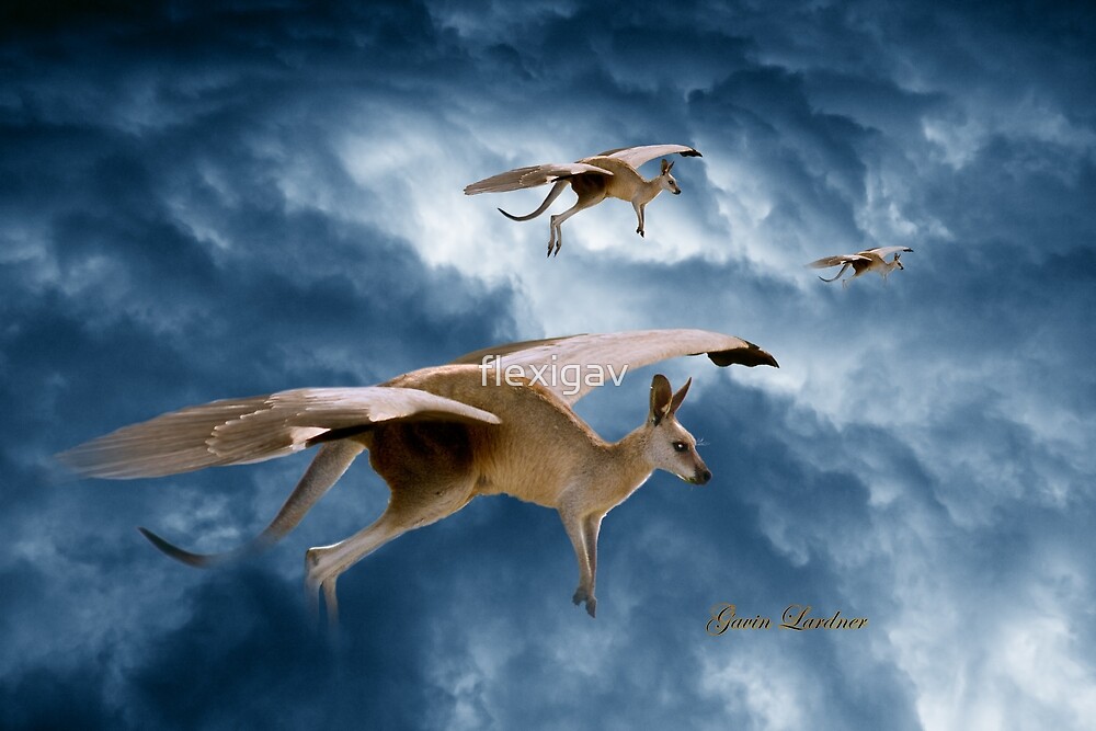 &amp;quot;Flying Kangaroos&amp;quot; by flexigav | Redbubble