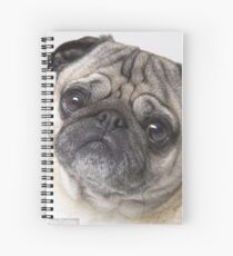 Mops Spiralblock