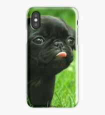 Black Pug iPhone Case