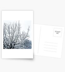 To Narnia! Postcards