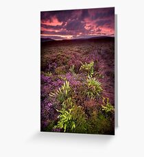 The Dimming of the Day Greeting Card
