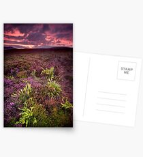 The Dimming of the Day Postcards