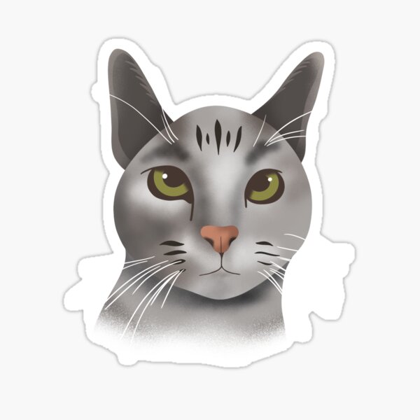 Gray Kitten Sticker