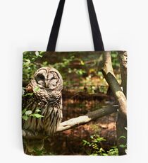 Barred Owl Tote Bag