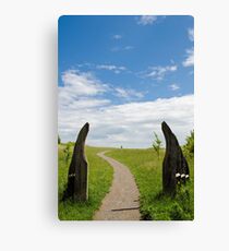Sculptures Canvas Print