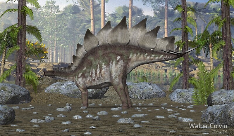 stegosaurus 1880