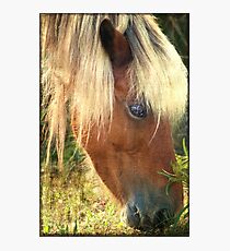 Beautiful blond Photographic Print