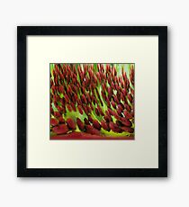 Frosted Red Framed Print
