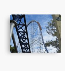 Cedar Point Metal Print