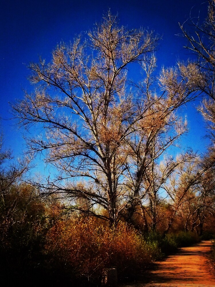 Along the path by douglasewelch