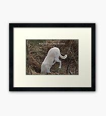 Explore new possibilities Framed Print