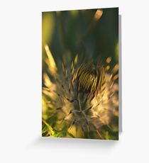 New thistle ll Greeting Card