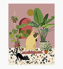 Pug Yoga avec des plantes Impression photo