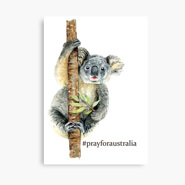 Pray for Australia Koala Canvas Print