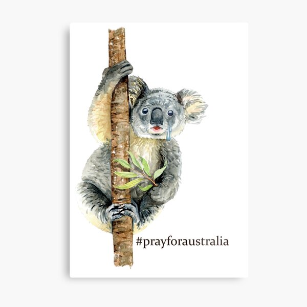 Pray for Australia Koala Metal Print