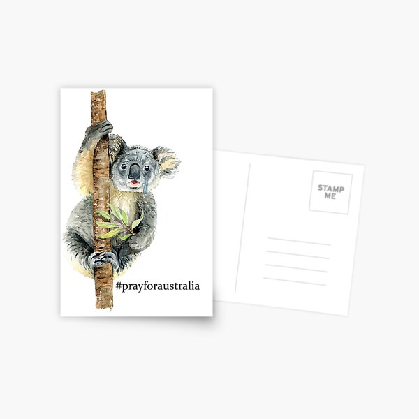 Pray for Australia Koala Postcard