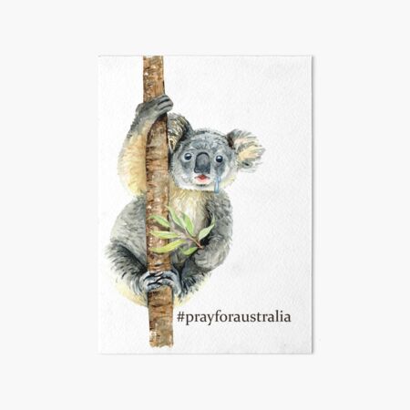 Pray for Australia Koala Art Board Print
